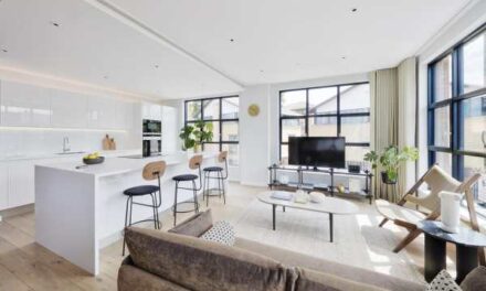 Tech’s VIP Travel Boom: Projects Power Relocation