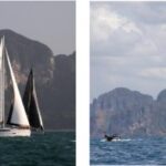 Bay Regatta 2026: 29 Years, Full Sail in Thailand