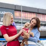 Virgin Australia Expands Pets in Cabin Plans