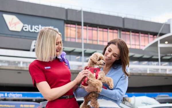 Virgin Australia Expands Pets in Cabin Plans