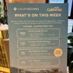 California Dreamin’: Luxury Escapes Debuts Bondi Partnership