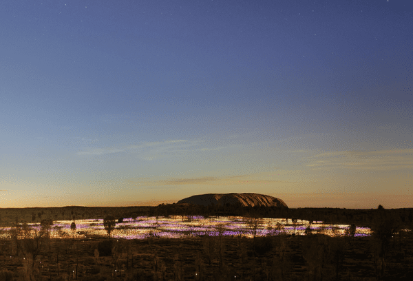 Uluru’s Field of Light Marks Milestone Anniversary
