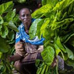 World Expeditions Unveils 2026 Expert Adventures