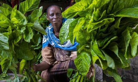 World Expeditions Unveils 2026 Expert Adventures