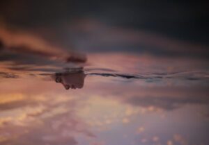 ni200_src01_v01.1081_UpsideDown_Graded_RGB