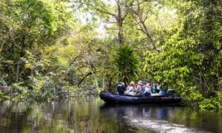 Hapag-Lloyd Cruises Unveils Amazon Expeditions for 2026