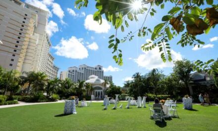 The Sail Debuts at ILTM North America 2026