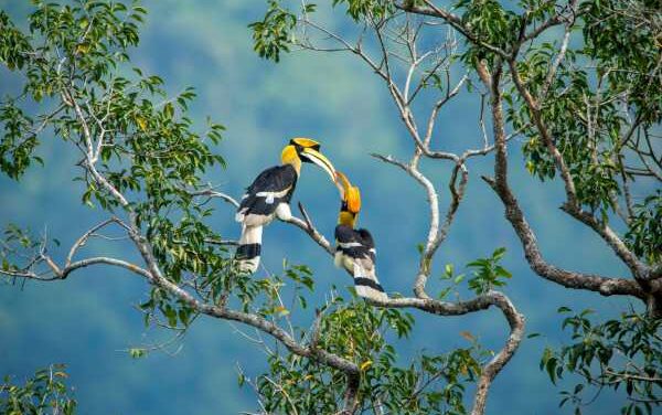 Club Med Borneo Opens Bookings for Kota Kinabalu Escape