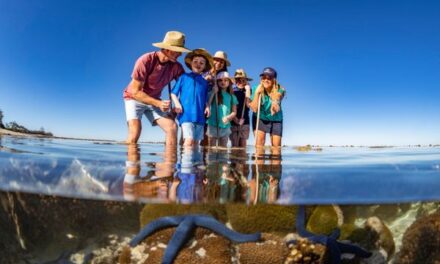 Bundaberg Beckons: Your Ultimate Weekend Escape