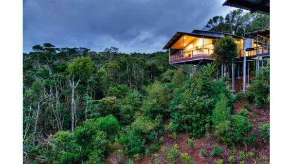 O’Reilly’s Marks 100 Years of Eco-Tourism Legacy