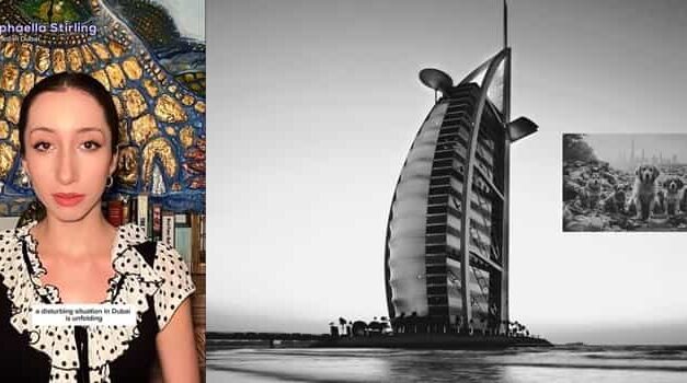 Expats Stuck in UAE Travel Ban Maze as Flights Falter