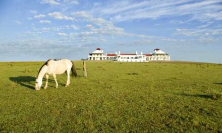 Fire Horse Ignites Luxury at Estancia Vik