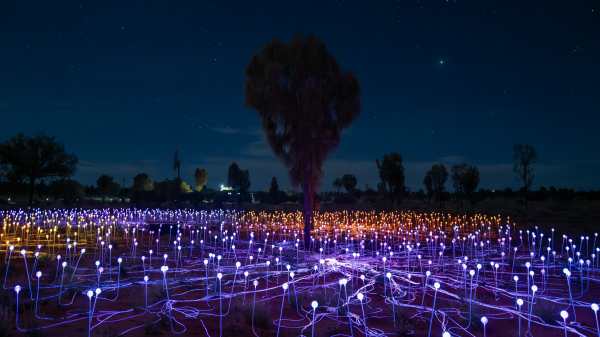 Field_6
