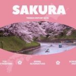 K-Drama Sparks New Sakura Travel Trends for 2026