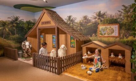 JW Marriott Khao Lak: Family Travel with Purpose