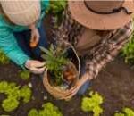 Live Regenerative Travel at Las Torres Patagonia