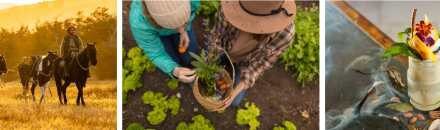 Live Regenerative Travel at Las Torres Patagonia