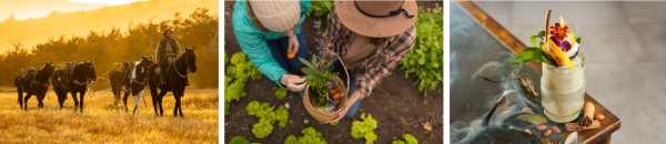 Live Regenerative Travel at Las Torres Patagonia