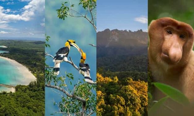 Club Med Borneo Opens Bookings for Sabah Debut