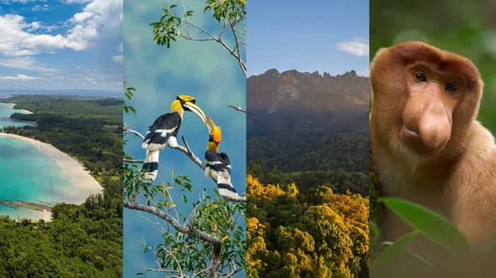 Club Med Borneo Opens Bookings for Sabah Debut