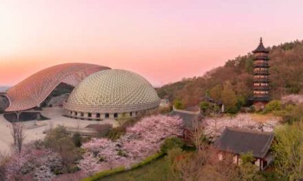 Niushou Mountain Invites Spring Wellness Escape