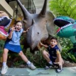 Queensland Dinosaur Week Roars May 4–10