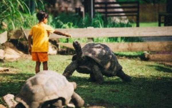 Raffles Seychelles Launches Kids’ Explorer World