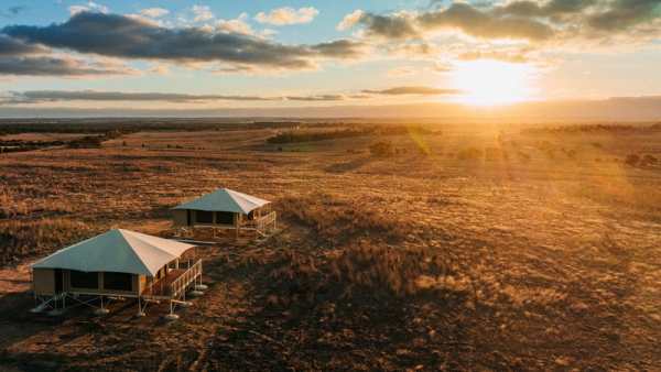 Safari Lodge at Monarto Safari Resort