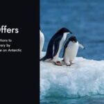 HX Expeditions 130 Years: Antarctica Suite Upgrade Deal