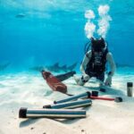 Six Senses Kanuhura Backs Maldives Seagrass Project