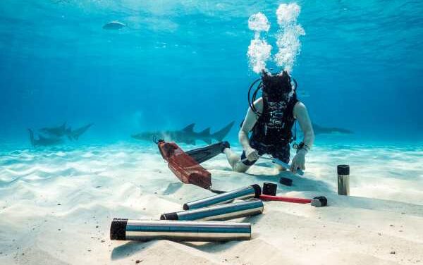 Six Senses Kanuhura Backs Maldives Seagrass Project