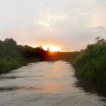 Luxury Borneo Expedition with Pearl: Orangutan Encounters