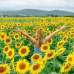 Scenic Rim’s Top 10 Can’t-Miss Events This Year