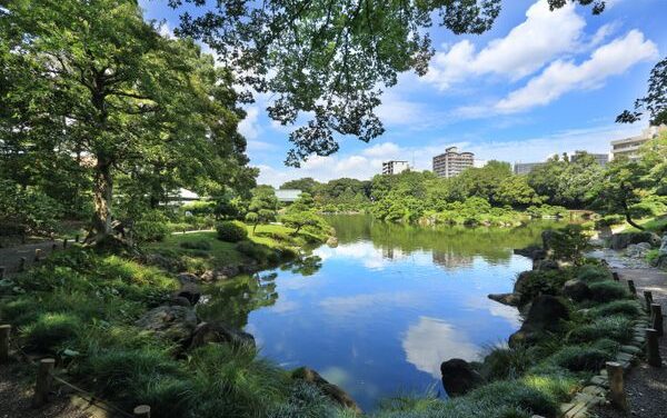 Tokyo’s Secret Green Season Steals the Show