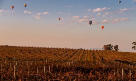Yarra Valley Autumn: Foliage, Food & Cozy Escapes