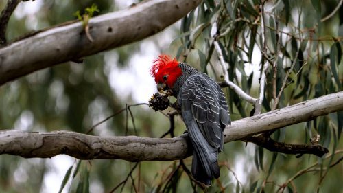 WAMA Unearths Earth’s Hidden World Beneath Our Feet