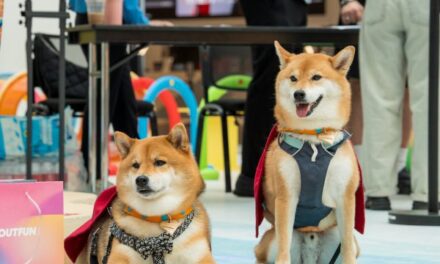 Lisboeta Macau Hosts Dog-Friendly Movie Nights
