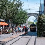 Christchurch 2026: A City Reborn and Revitalised