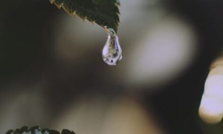 A Joy & André Chiang Serve Taiwan’s Seasons