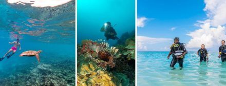 Eri Maldives Unveils Stunning House Reef Experience