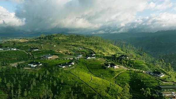 Aadya Tea Bungalows Debut in Sri Lanka’s Tea Country