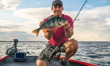 How Real-Time Marine Technology Is Changing Recreational Fishing