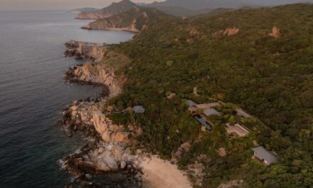 Novak Djokovic Launches Mobility & Recovery Programmes