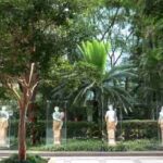 Avenida Paulista: São Paulo’s Avenue of Wealth & Culture