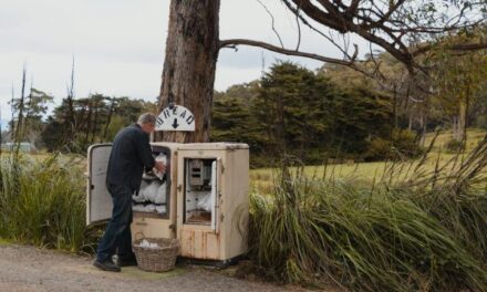 Bruny Island Beckons Birdwatchers This Winter
