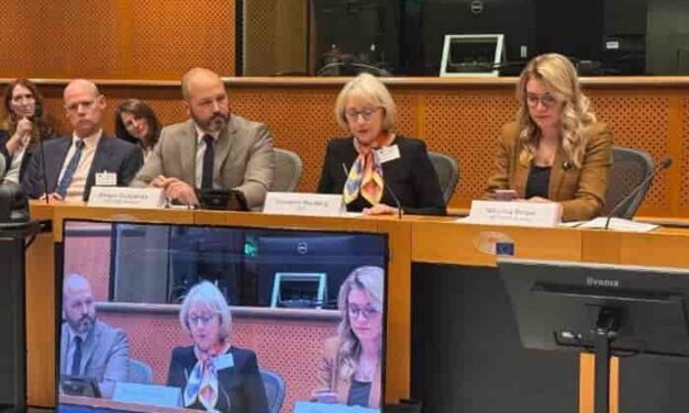 Europe’s Green Travel Push Finds Its Business Voice