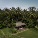 Capella Ubud Marks 8 Years of Forest & Firefly Care