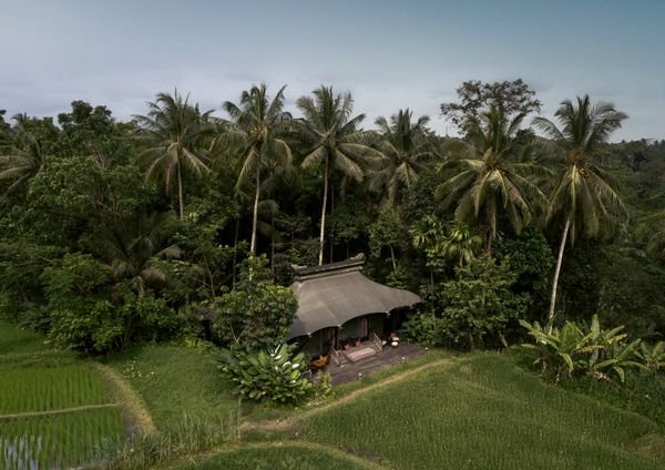 Capella Ubud Marks 8 Years of Forest & Firefly Care