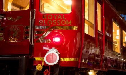 Chasing Sunsets on Thailand’s Royal Blossom