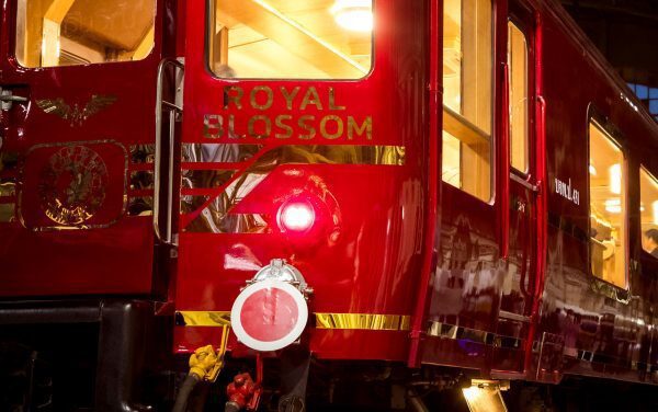 Chasing Sunsets on Thailand’s Royal Blossom